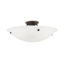 Oasis Ceiling Flush Mount