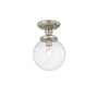 Northampton 1-Light Ceiling Mount