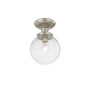 Northampton 1-Light Ceiling Mount