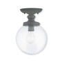 Northampton 1-Light Ceiling Mount