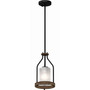 Emery 1-Light Mini Pendant