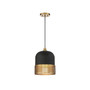 Eclipse 1-Light Pendant in Matte Black with Warm Brass Accents