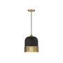 Eclipse 1-Light Pendant in Matte Black with Warm Brass Accents