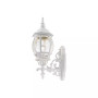 Frontenac 1 Light Outdoor Wall Lantern