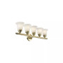Neptune 5-Light Bath Vanity Fixture