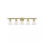 Neptune 5-Light Bath Vanity Fixture