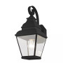 Exeter 1-Light Outdoor Wall Lantern