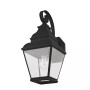 Exeter 1-Light Outdoor Wall Lantern
