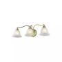 Essex 3-Light Bath Vanity Fixture