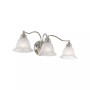 Essex 3-Light Bath Vanity Fixture