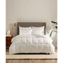 Down Illusion Antimicrobial Down Alternative All Season Comforter - Twin/Twin XL