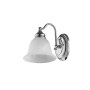 Essex 1-Light Bath Vanity Fixture
