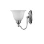Essex 1-Light Bath Vanity Fixture