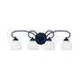 Brookside 4-Light Bath Vanity Fixture