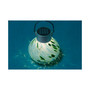 Home & Garden Solar Glass Tea Lantern