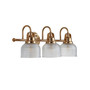 Virginia 3-Light LED Vanity Light