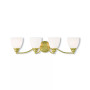 Somerville 4-Light Bath Vanity Fixture