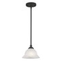 CLOSEOUT!   North Port 1-Light Mini Pendant