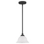 CLOSEOUT!   North Port 1-Light Mini Pendant