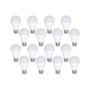 A19 LED Non-Dimmable Light Bulb Set, 16 Pieces
