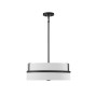 4-Light Pendant Light