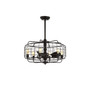 Larsin Ceiling Light Fan