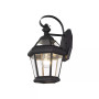 Georgetown 1-Light Outdoor Wall Lantern