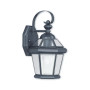 Georgetown 1-Light Outdoor Wall Lantern