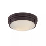 Lucerne 2-Light Flush Mount