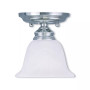 Essex 1-Light Ceiling Mount