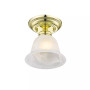 Essex 1-Light Ceiling Mount