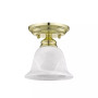 Essex 1-Light Ceiling Mount