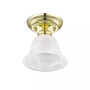 Essex 1-Light Ceiling Mount
