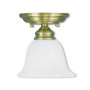 Essex 1-Light Ceiling Mount