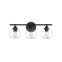 Carson 3-Light Bathroom Vanity Light