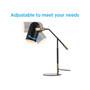 Edison Metal LED Task Lamp
