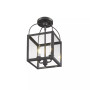 Milford 2-Light Convertible Mini Pendant/Ceiling Mount
