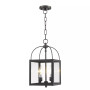 Milford 2-Light Convertible Mini Pendant/Ceiling Mount