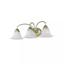 Edgemont 3-Light Bath Vanity Fixture