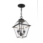 Westover 2-Light Outdoor Chain Lantern