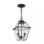 Westover 2-Light Outdoor Chain Lantern