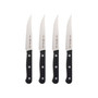 International Solution 4-Pc. Steak Knife Set
