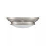 2-Light Ceiling Light