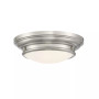 2-Light Ceiling Light