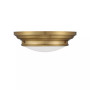 2-Light Ceiling Light