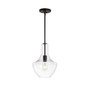 Watts Glass/Metal LED Pendant