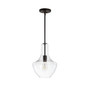 Watts Glass/Metal LED Pendant