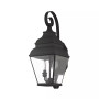 Exeter 2-Light Outdoor Wall Lantern