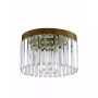 Ashton 4-Light Ceiling Mount