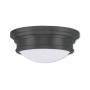 Astor 3-Light Ceiling Mount